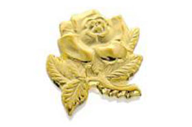 Charter member pin