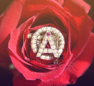rose