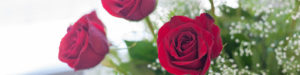 RoseTributes2018