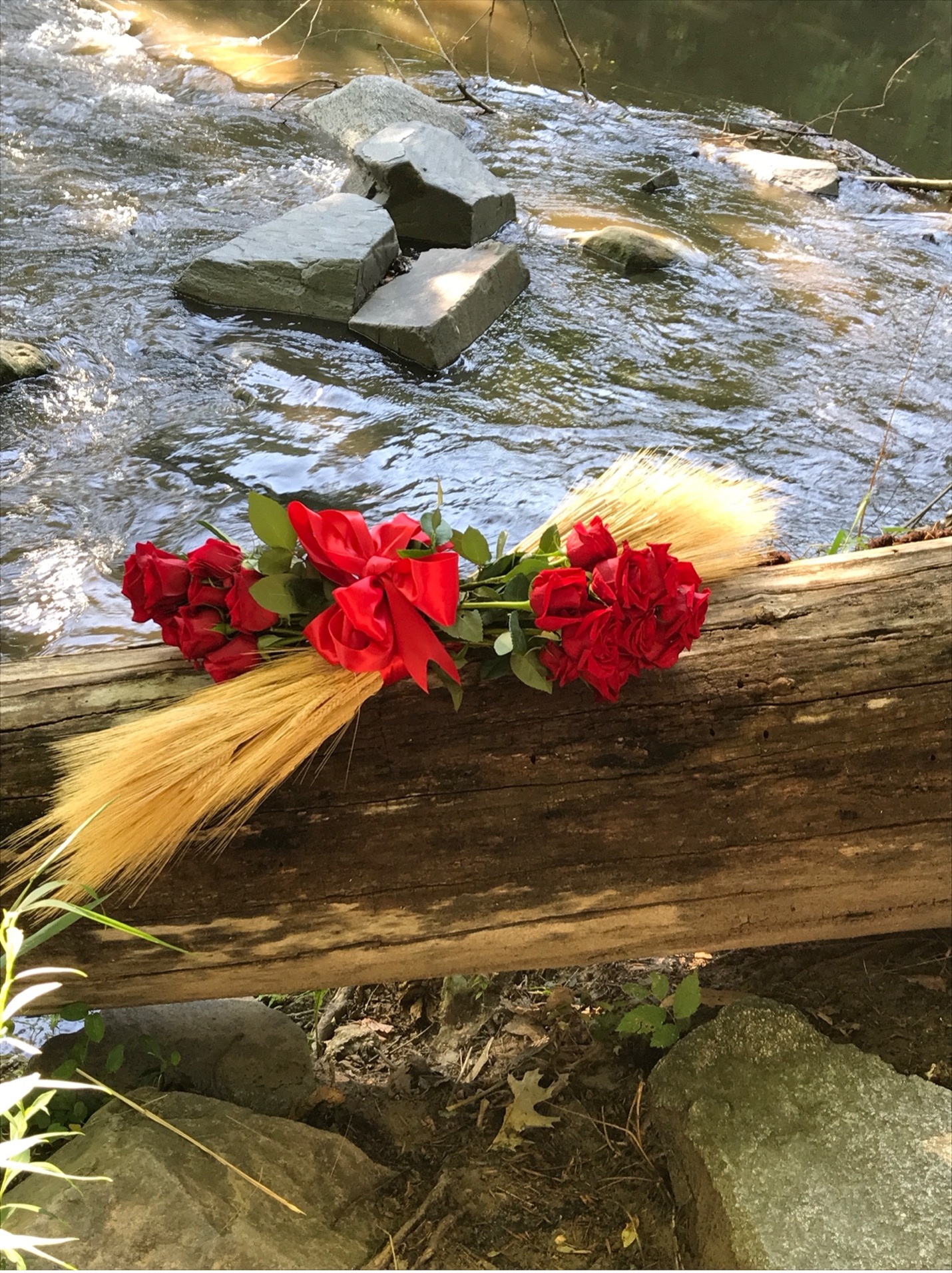 A Tradition Of Fraternity And Love History Of AOII’s Convention